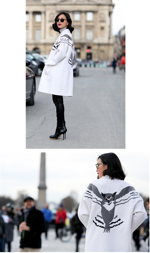 Street Style - Paris Fashion Week AW14 - Catwalk Yourself